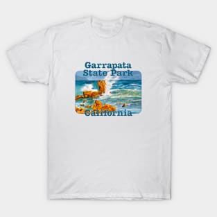 Garrapata State Park, California T-Shirt